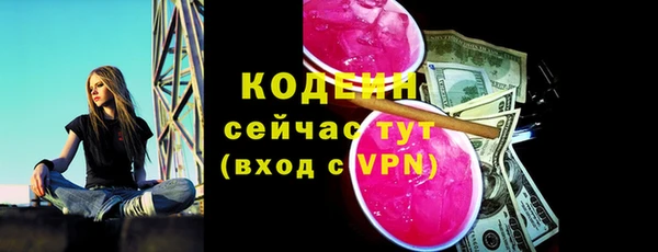 гашик Бородино