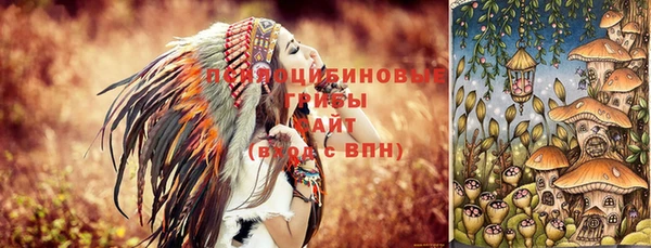 apvp Бронницы