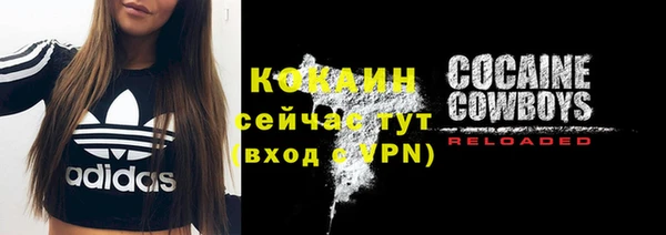 гашик Бородино