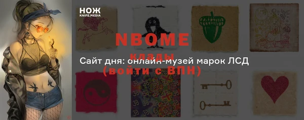 гашик Бородино