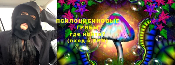 apvp Бронницы