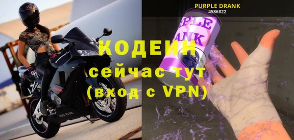 гашик Бородино